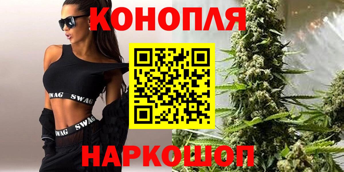 Каннабис OG Kush  Канабис планчик  Вход с VPN  Бошки Шишки OG Kush  Знаменск 